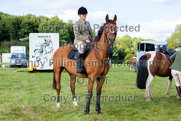 South_Notts_Hound_Exercise_Kennels_16th_Aug_2024_004