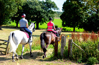 Grove and Rufford, Scaftworth (11th Aug 2024)