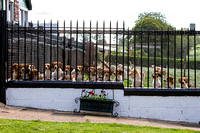 South_Notts_Kennels_6th_June_2015_013