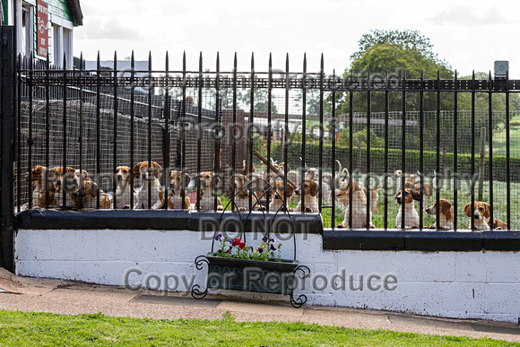 South_Notts_Kennels_6th_June_2015_013