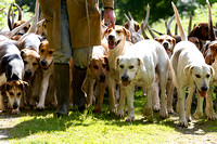 South_Notts_Kennels_6th_June_2015_020