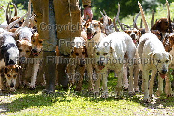 South_Notts_Kennels_6th_June_2015_020