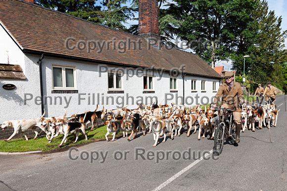 South_Notts_Kennels_15th_June_2015_004
