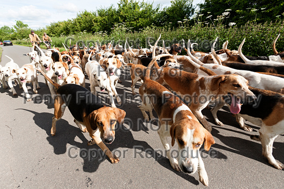 South_Notts_Kennels_15th_June_2015_016
