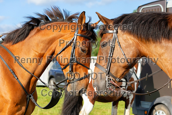 South_Notts_Hound_Exercise_Kennels_16th_Aug_2024_007