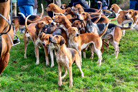 Quorn Essex with Farmers and Union Hounds Visit, Ulverscroft (7th March 2023)