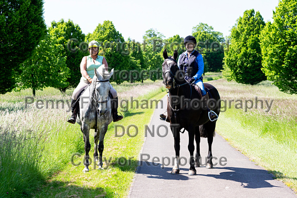 Grove_and_Rufford_Ride_Sandbeck_3rd_June_2023_001
