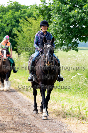 Grove_and_Rufford_Ride_Kneesall_18th_June_2023_006