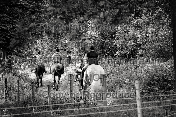 Quorn_Ride_Staunton_Harold_21st_June_2023_0815