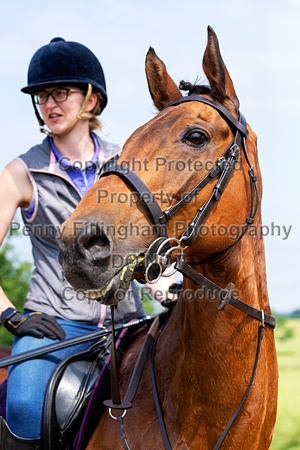 Grove_and_Rufford_Ride_Kneesall_18th_June_2023_089