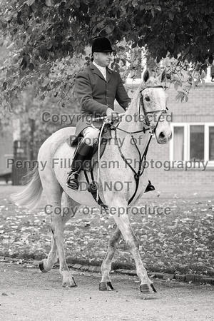 Quorn_Opening_Meet_Kennels_25th_Oct_2024_010