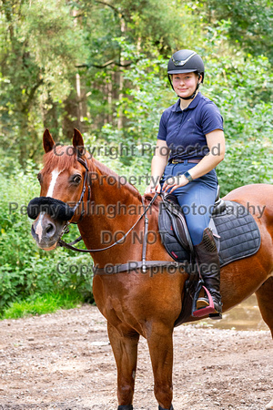 Grove_and_Rufford_Ride_Bothamsall_30th_July_2023_0004