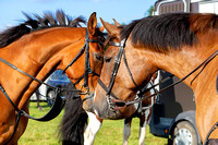 South_Notts_Hound_Exercise_Kennels_16th_Aug_2024_006