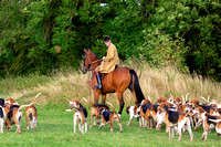 South_Notts_Hound_Exercise_Kennels_16th_Aug_2024_009