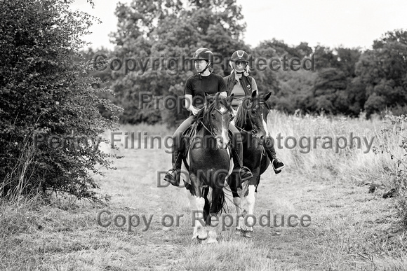 Grove_and_Rufford_Ride_Westwoodside_27th_August_2023_187