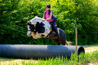 Grove_and_Rufford_Ride_Blyth_2nd_June_2024_004