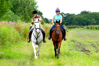 Grove_and_Rufford_Ride_Edwinstowe_13th_July_2024_003