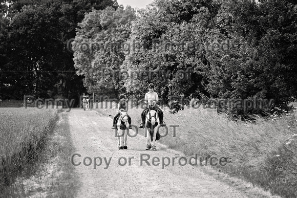 Grove_and_Rufford_Ride_Leyfields_22nd_June_2024_001