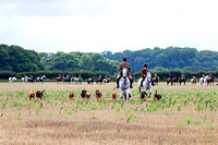 Four Shires Bloodhounds