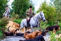 Four Shires Bloodhounds Hound Exercise, Hodsock (17th Sept 2023)