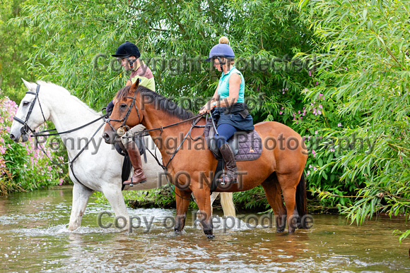 Grove_and_Rufford_Ride_Edwinstowe_13th_July_2024_009