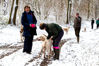 South_Notts_Kennels_11th_Dec_2017_018