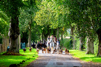 Four Shires Bloodhounds Hound Exercise, Skegby (24th Sept 2023)