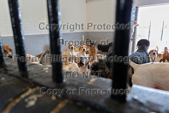 Quorn_Kennels_29th_Oct_2021_001