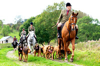 Four Shires Bloodhounds Hound Exercise, Haddon (8th Oct 2023)