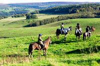 Four Shires Hound Exercise, Chatsworth (15th Oct 2023)