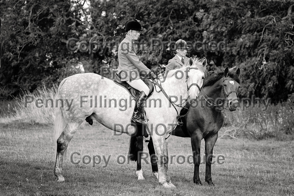 South_Notts_Hound_Exercise_Kennels_16th_Aug_2024_008