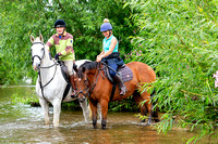 Grove_and_Rufford_Ride_Edwinstowe_13th_July_2024_005