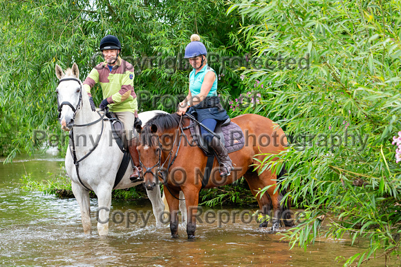 Grove_and_Rufford_Ride_Edwinstowe_13th_July_2024_005