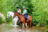 Grove_and_Rufford_Ride_Edwinstowe_13th_July_2024_008