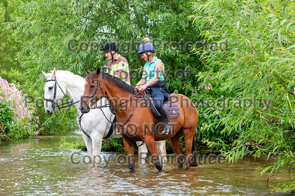 Grove_and_Rufford_Ride_Edwinstowe_13th_July_2024_008