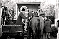 Quorn_South_Shropshire_Visit_Osgathorpe_28th_Nov_2023_0001