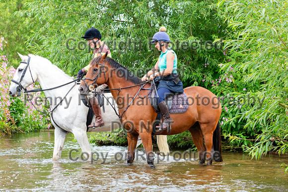 Grove_and_Rufford_Ride_Edwinstowe_13th_July_2024_010