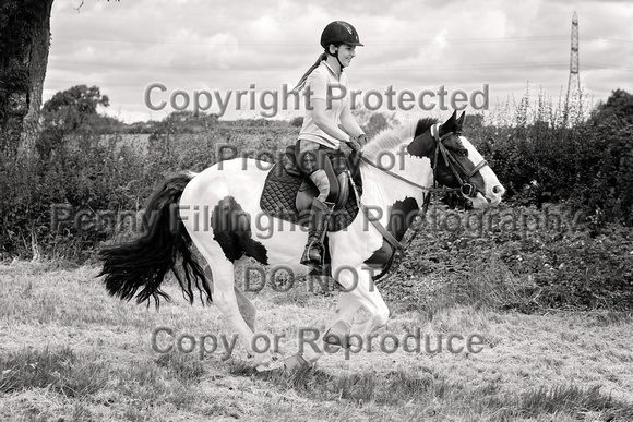 Grove_and_Rufford_Ride_Leyfields_22nd_June_2024_009