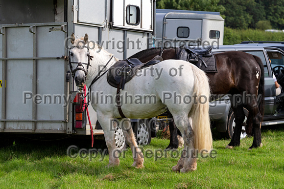 Quorn_Ride_Widmerpool_4th_Aug _2019_0009