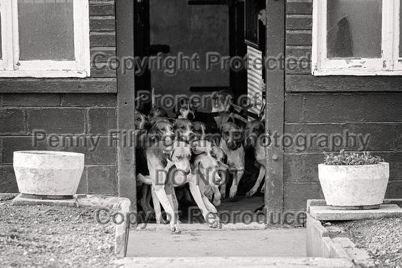 South_Notts_Hound_Exercise_Kennels_5th_Oct_2024_008