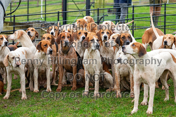 Quorn_Hickling_29th_Jan_2024_005