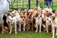 Quorn_Hickling_29th_Jan_2024_006