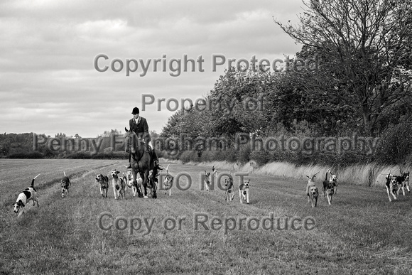 South_Notts_Hoveringham_B&W_28th_Oct_2021_798