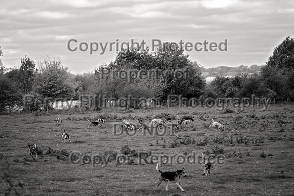 South_Notts_Hoveringham_B&W_28th_Oct_2021_659