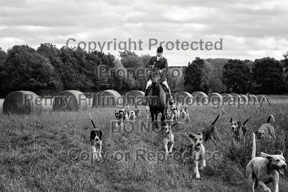 South_Notts_Hoveringham_B&W_28th_Oct_2021_774