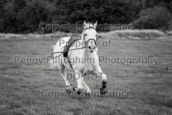 South_Notts_Hoveringham_B&W_28th_Oct_2021_417