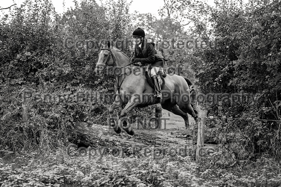 South_Notts_Hoveringham_B&W_28th_Oct_2021_245