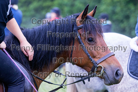 Grove_and_Rufford_Ride_Oxton_25th_June_2019_203