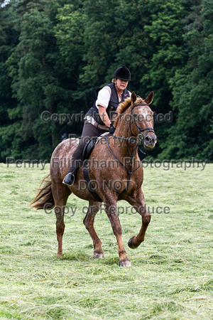 Grove_and_Rufford_Thoresby_9th_July_2016_009