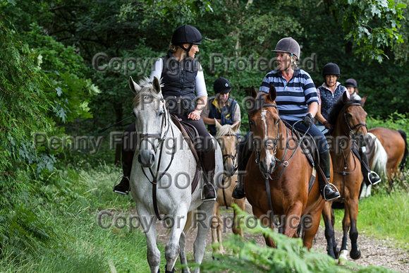 Grove_and_Rufford_Thoresby_9th_July_2016_059